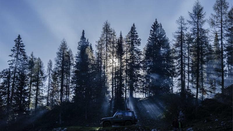 Brand Storytelling that Converts